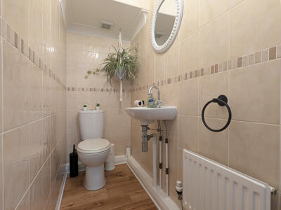 Picture 12
